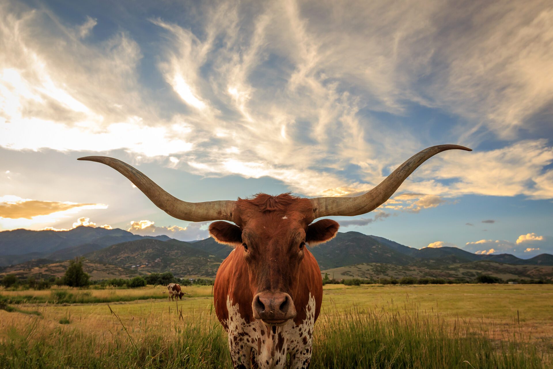 Texas 2